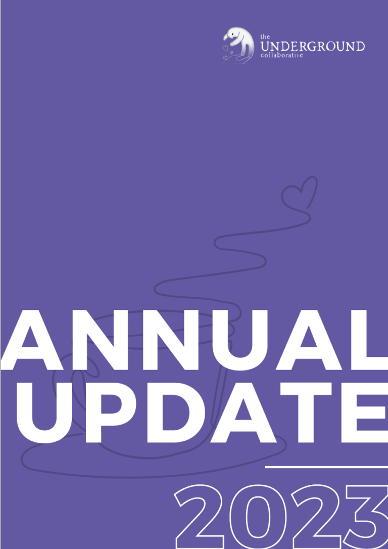Purple page with "Annual Update 2023" on the front and the TUC logo